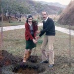 meus pais plantam uma paineira